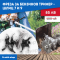 Фреза За Бензинов Тример - Шлиц 7 и 9 Фреза За Бензинов Тример - Шлиц 7 и 9